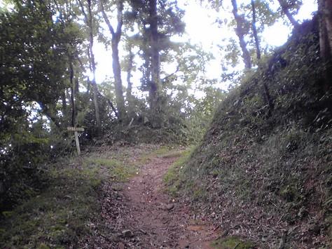金山城