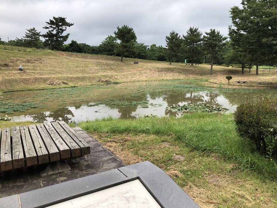秋田城