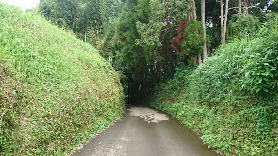 玉岡城