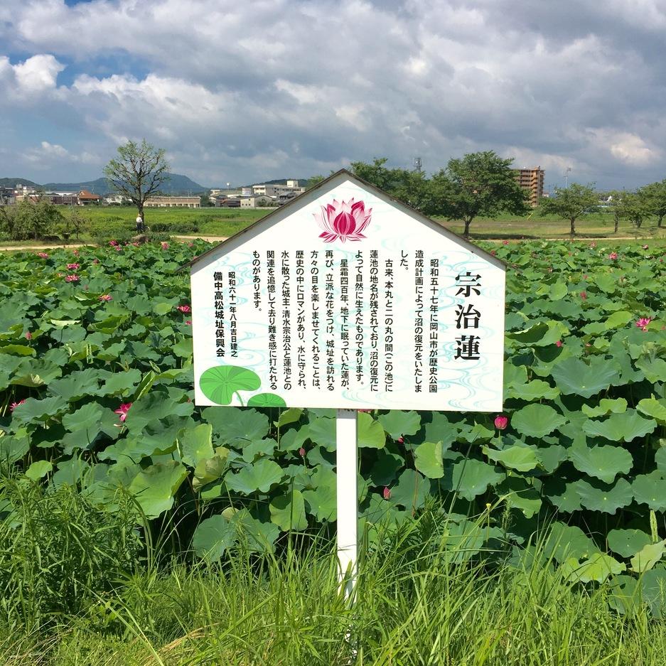 備中高松城
