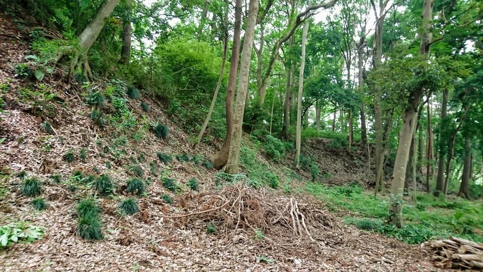 根木内城