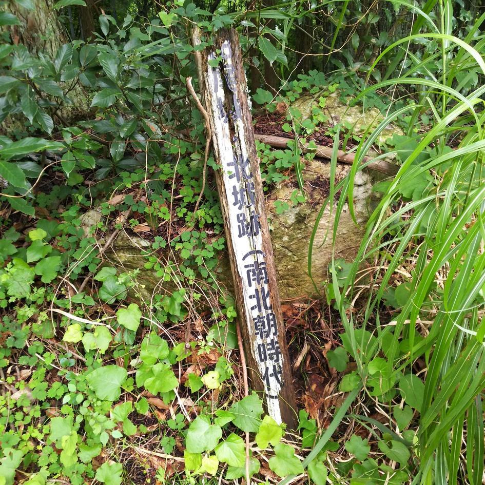 田尾城