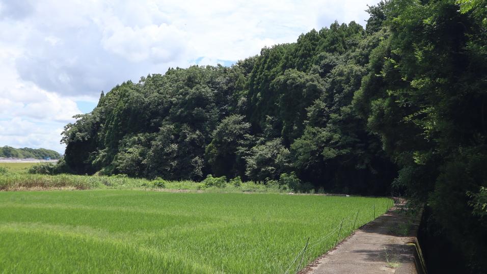 柿原城