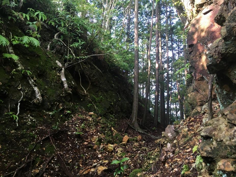 京城