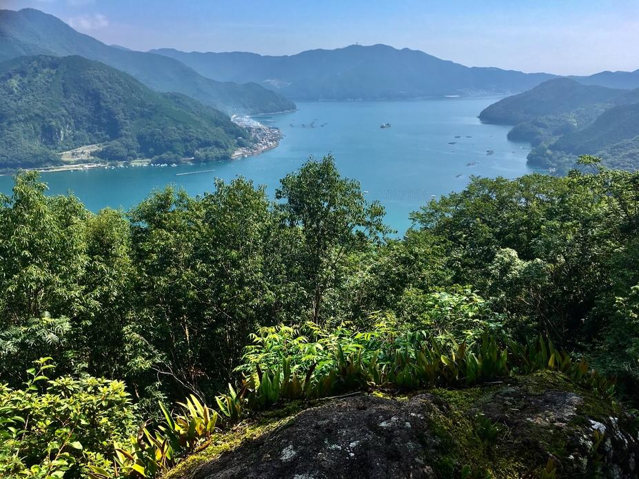 曽根城