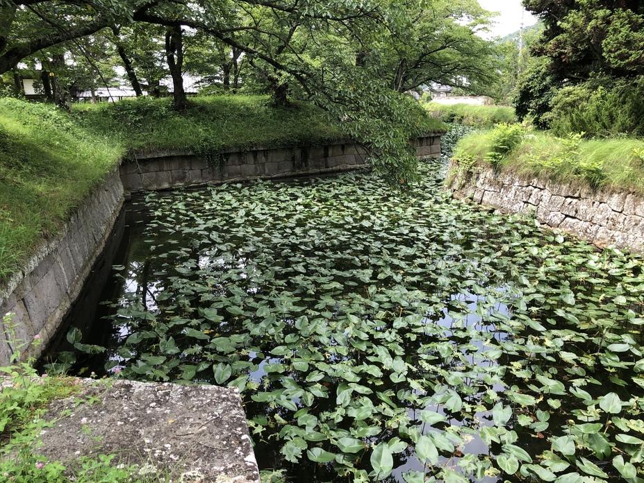 龍岡城