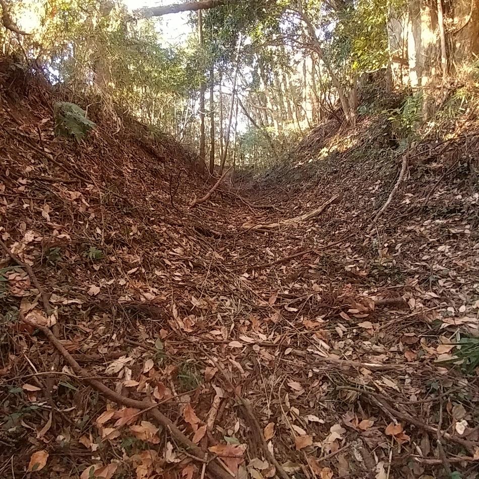 小高城