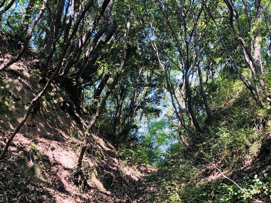 笠島城