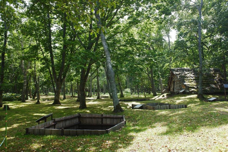 カリカリウスチャシ