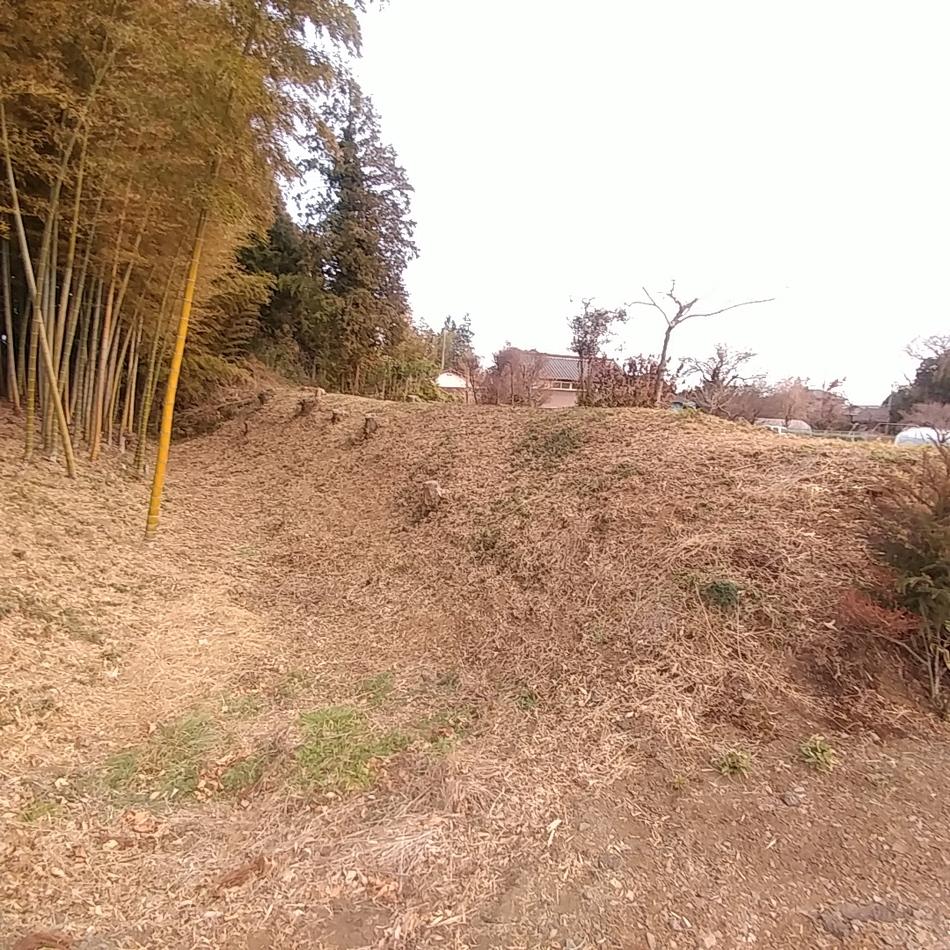 加倉井館