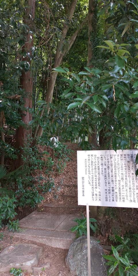 鷺山城