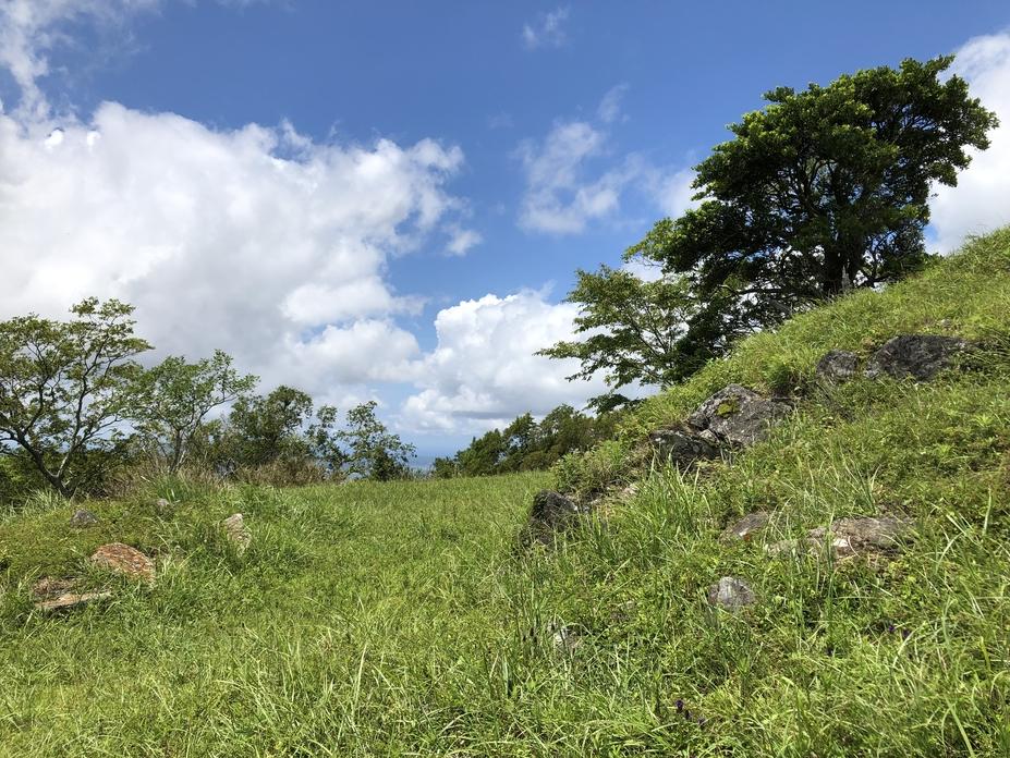 鷹取山城