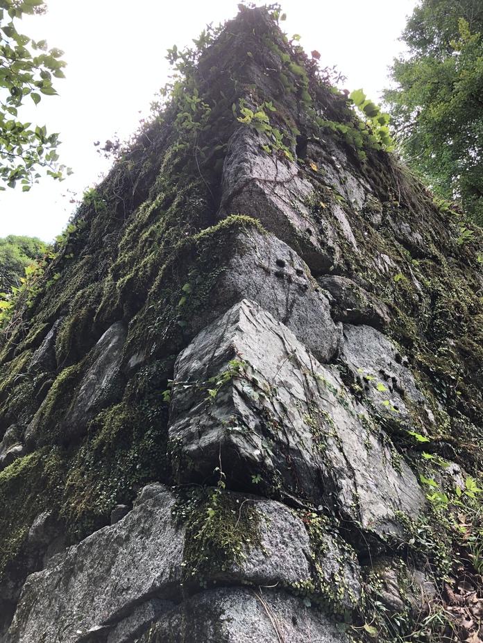 秋月城