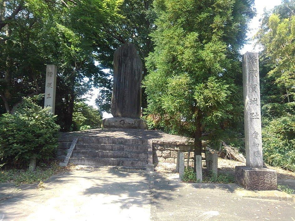 蜂須賀城