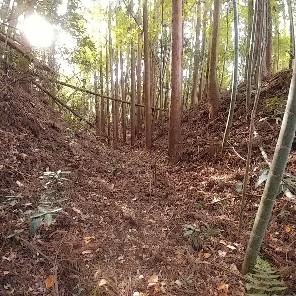 見川城