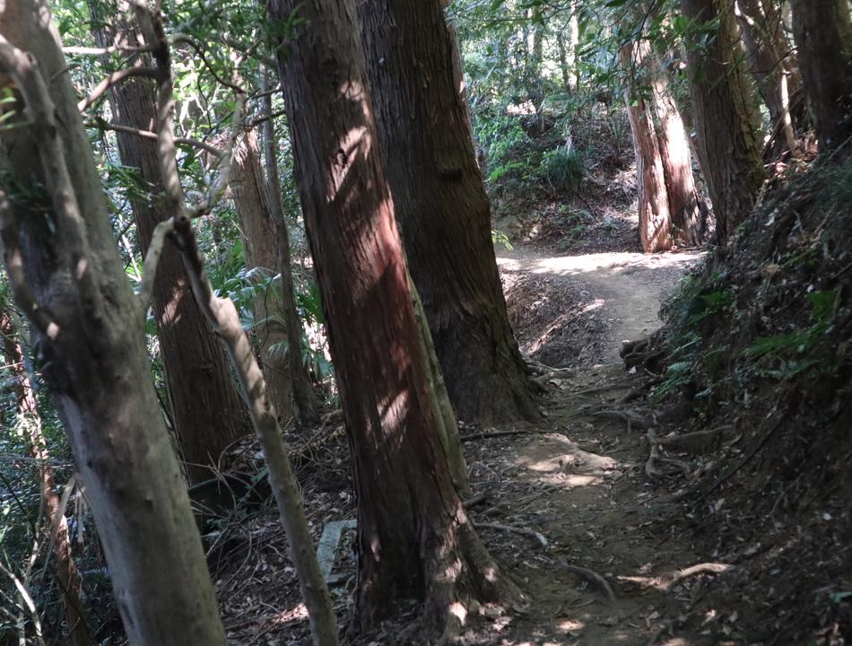 賤機山城