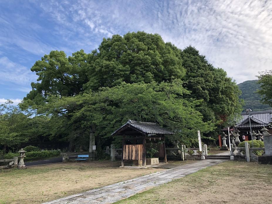 徳山城