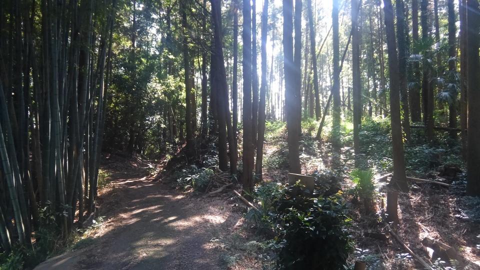 馴馬城