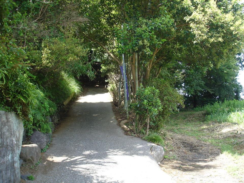 椎津城