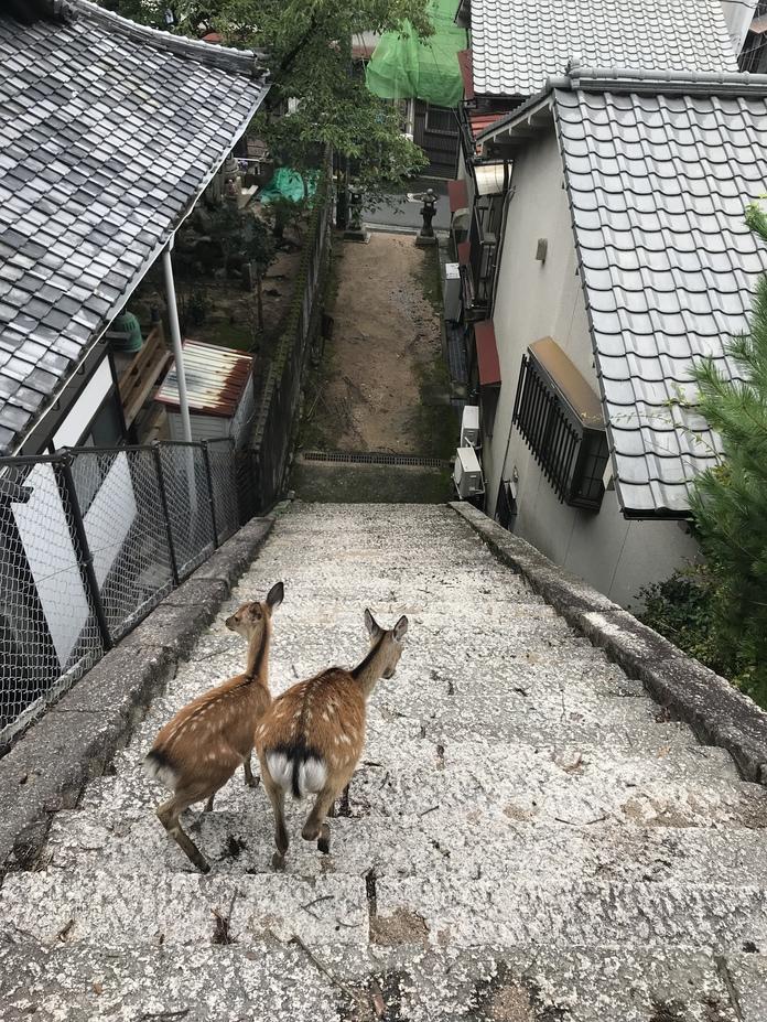宮尾城