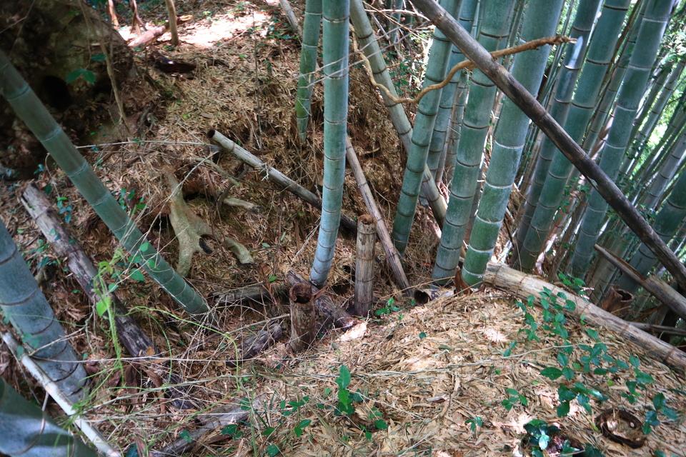 神代城