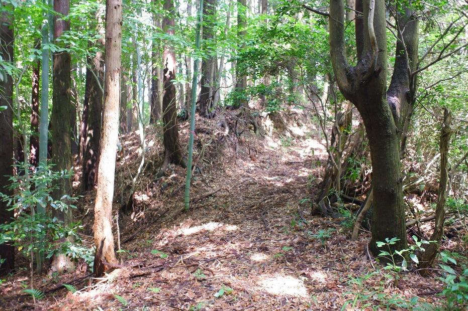 高野山城