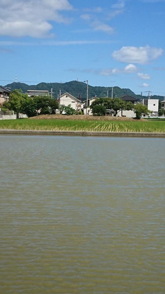 向城