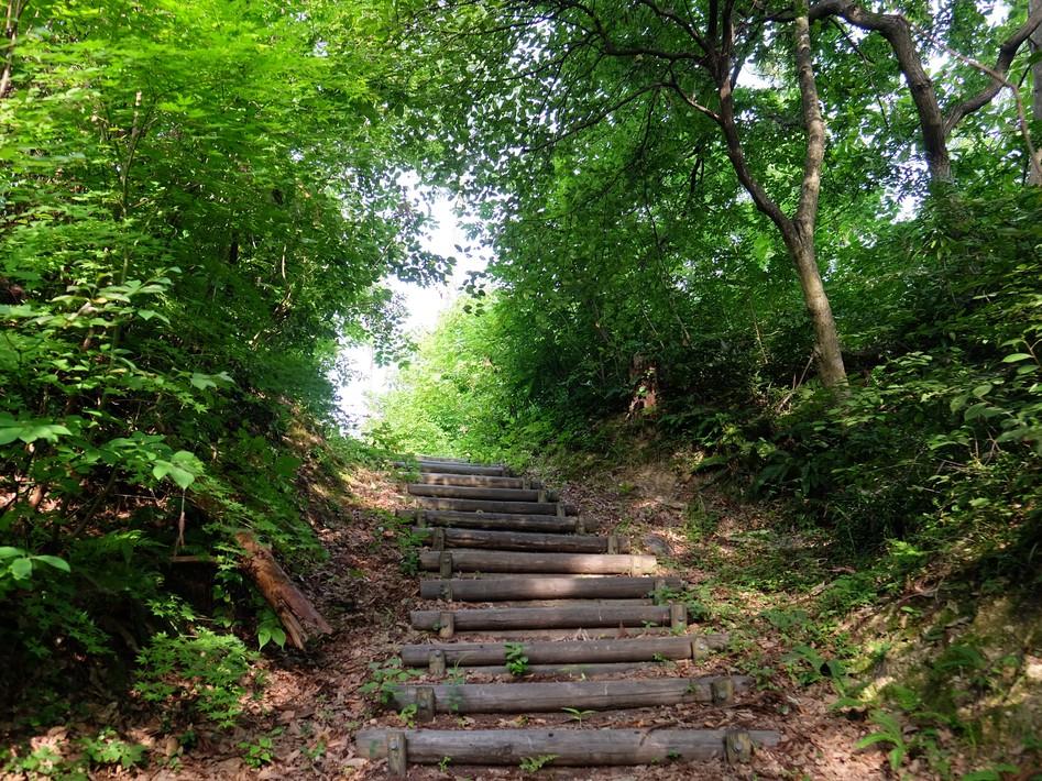 五十公野城