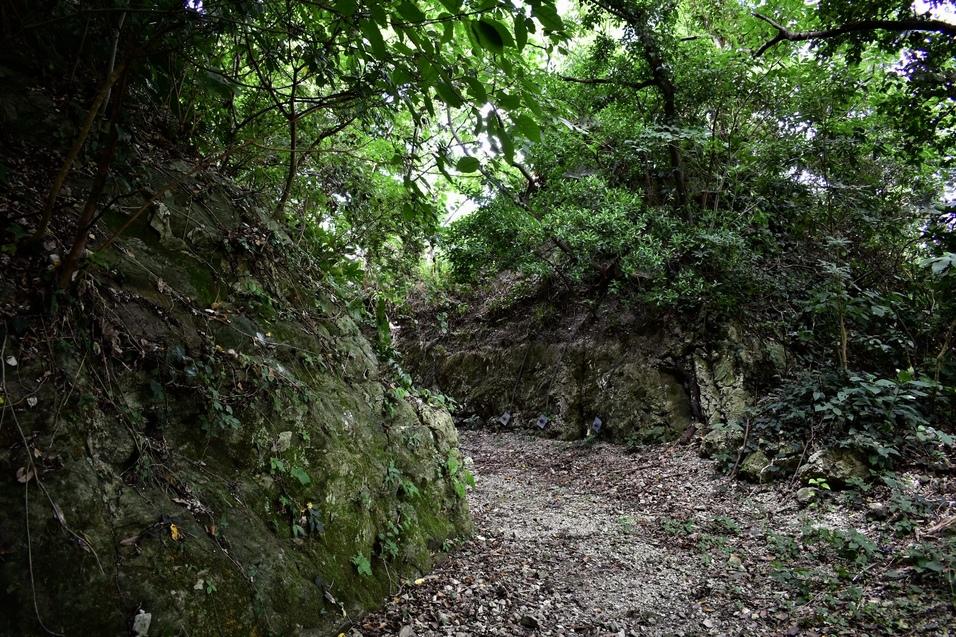 勝山城