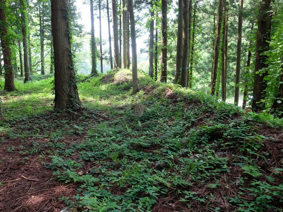 平林城
