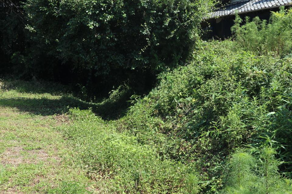 高道城