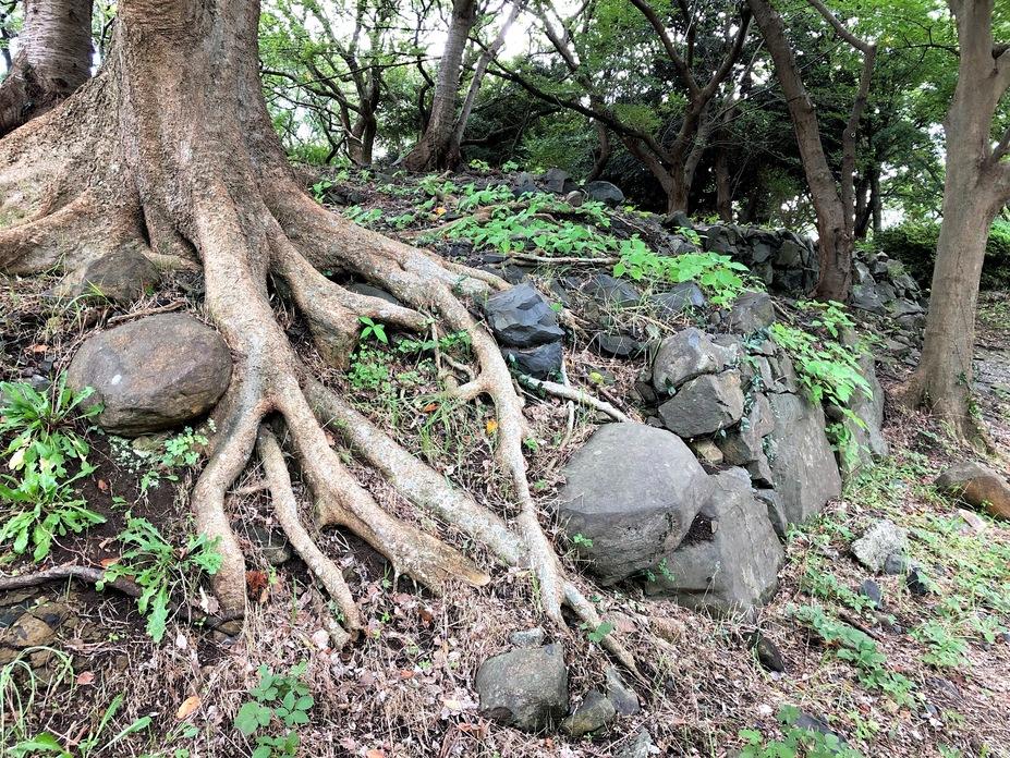 黒崎城