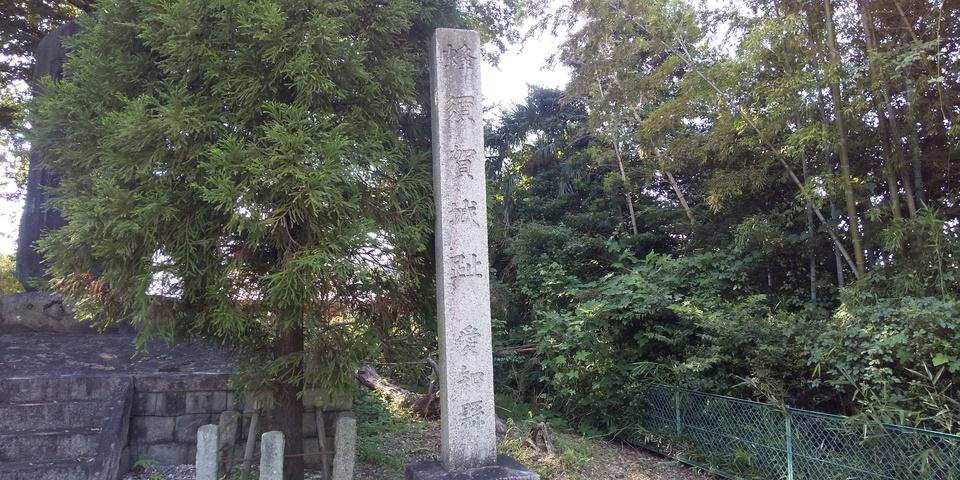 蜂須賀城