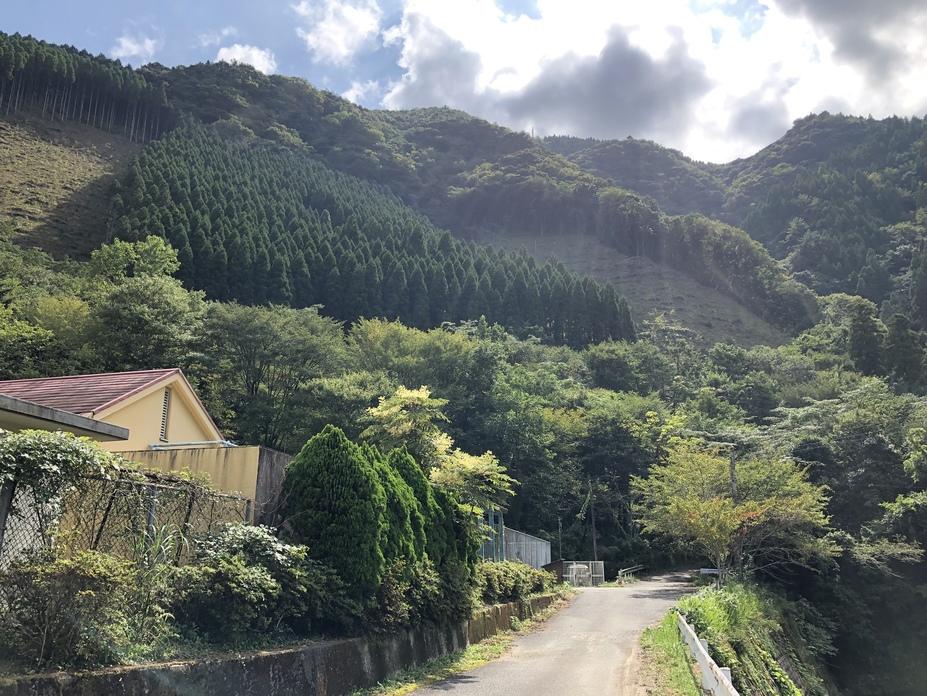 高屋城