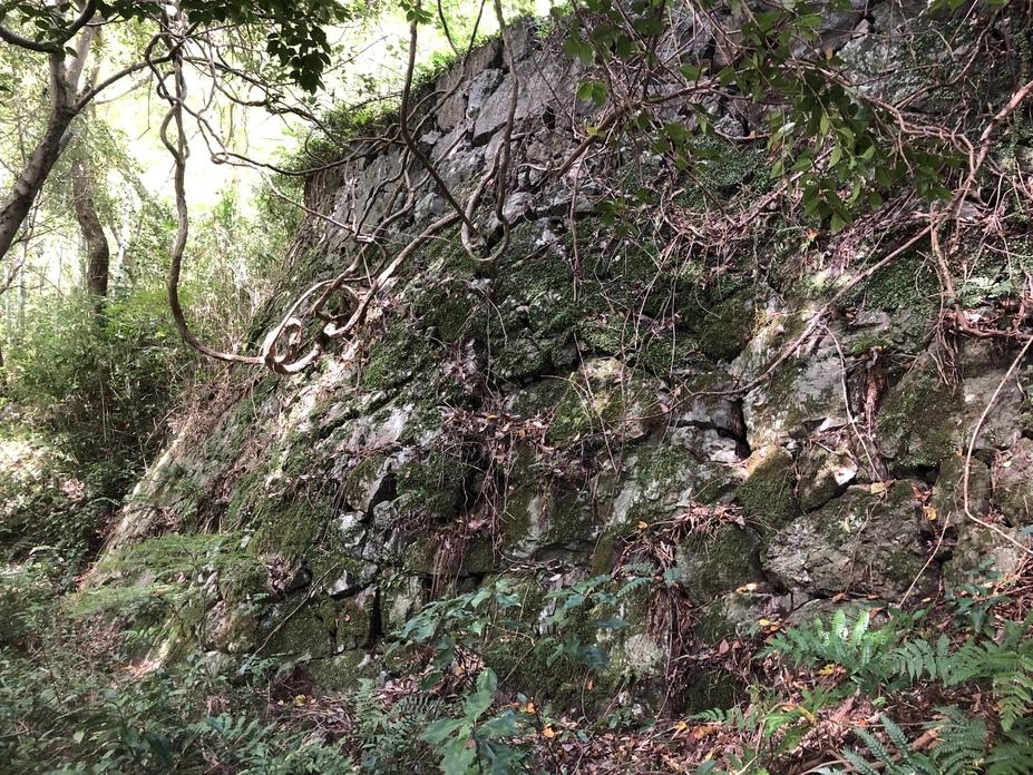 高田城