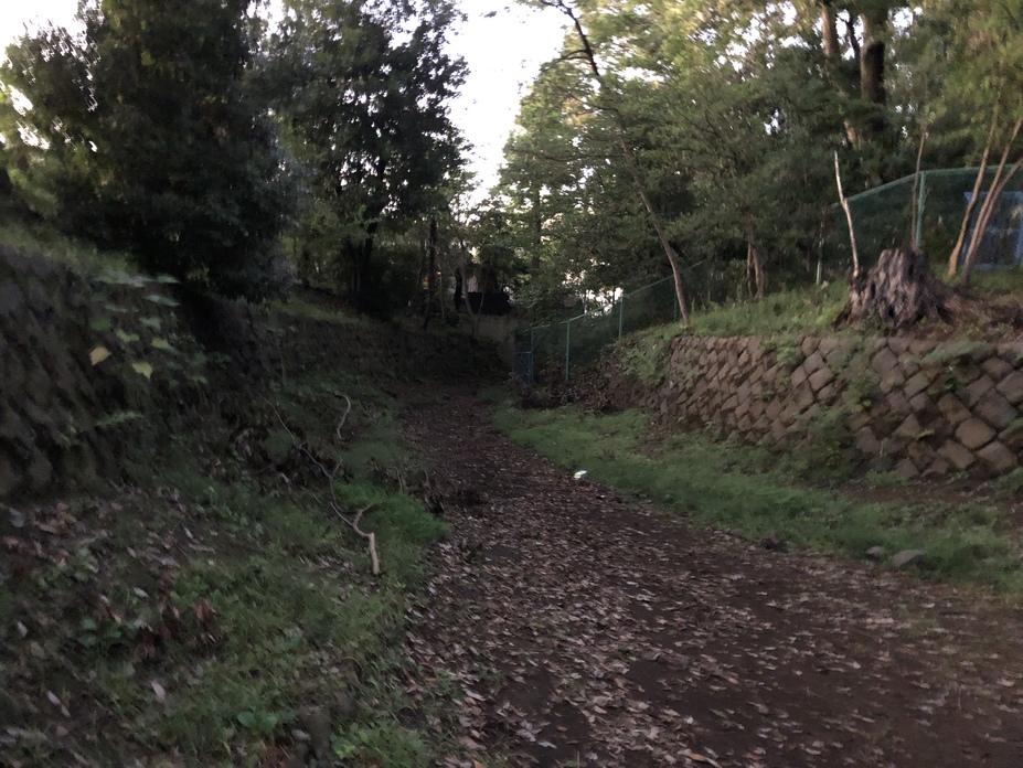 世田谷城
