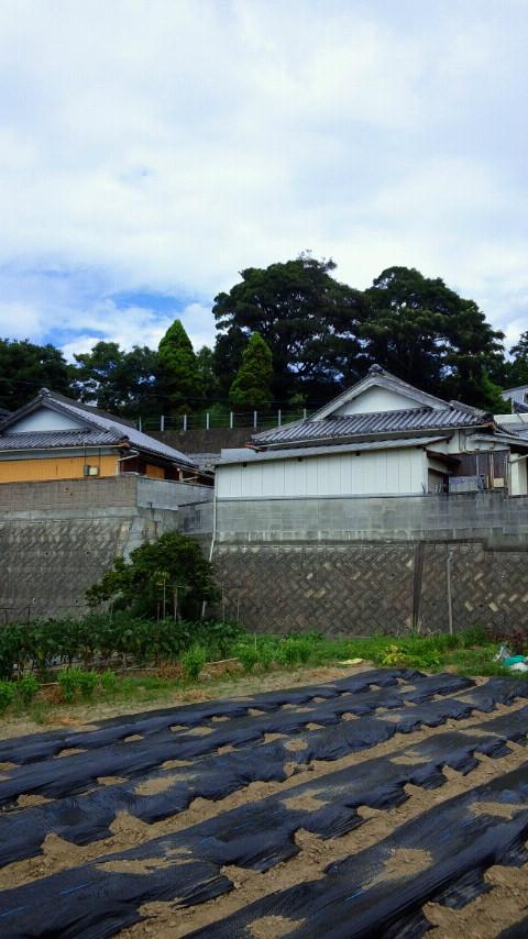 入山城