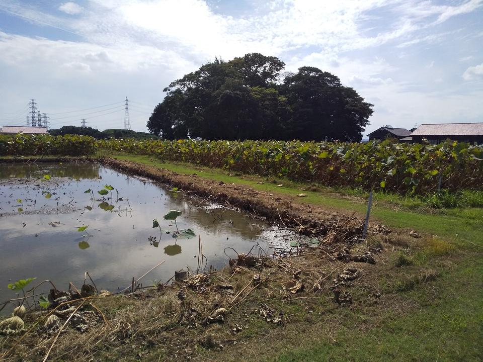 小木江城