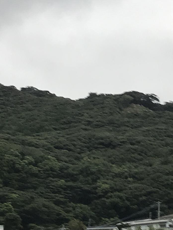 清水山城