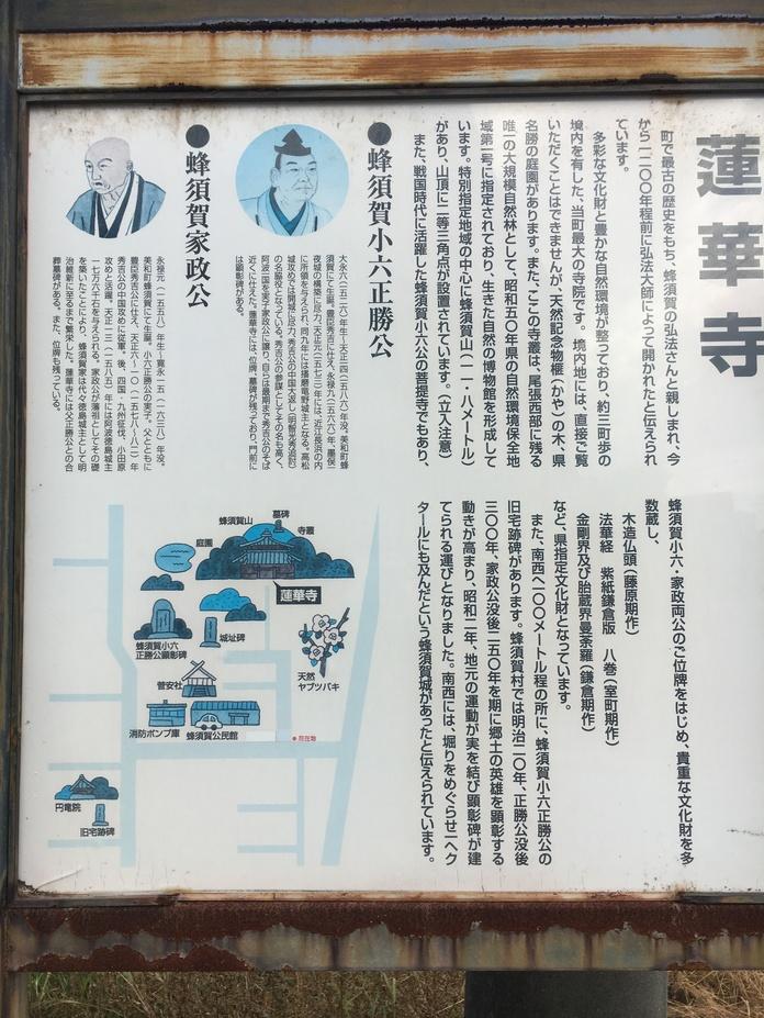 蜂須賀城