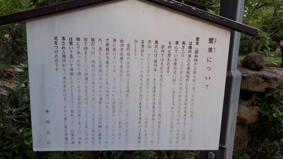 奥沢城