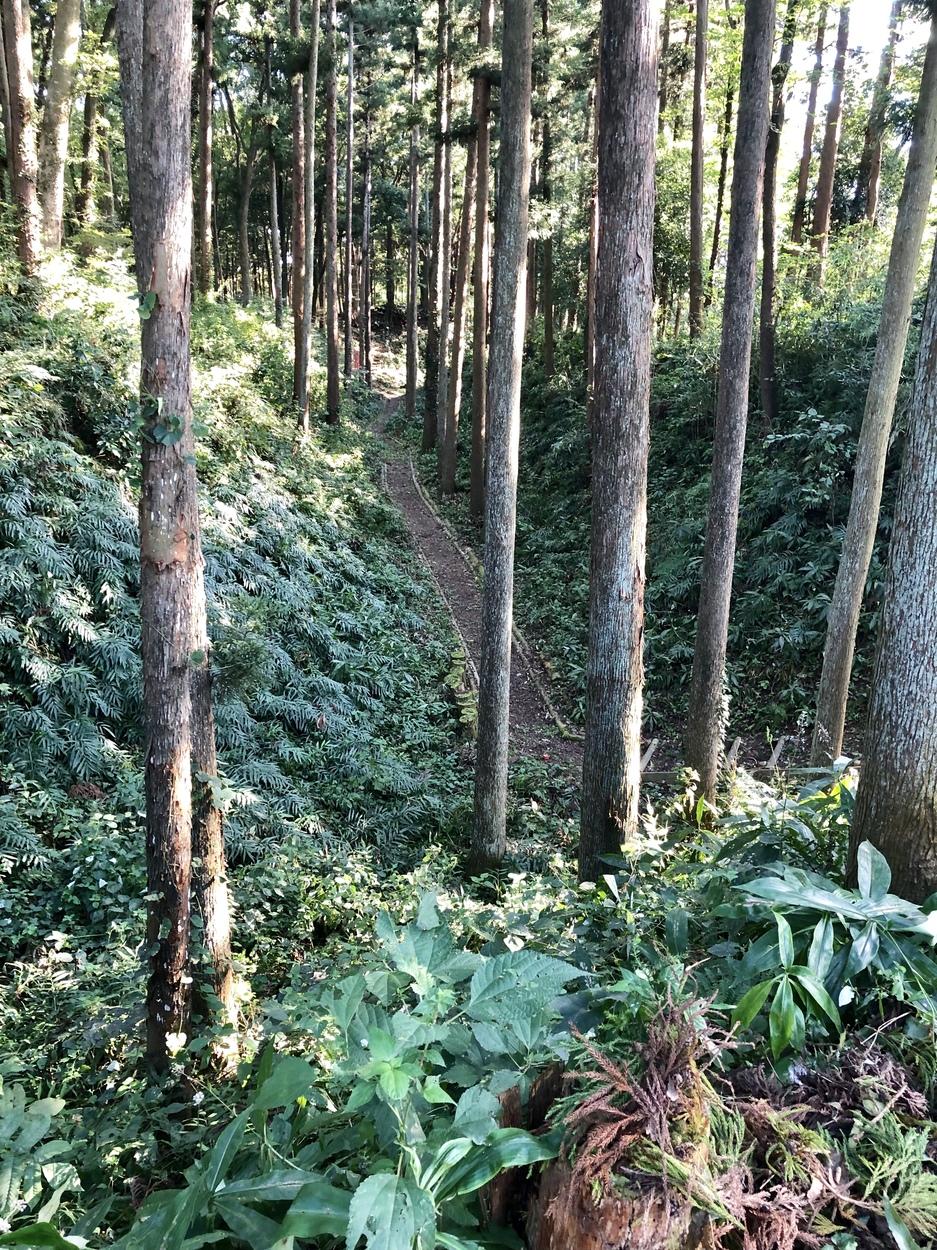 額田城