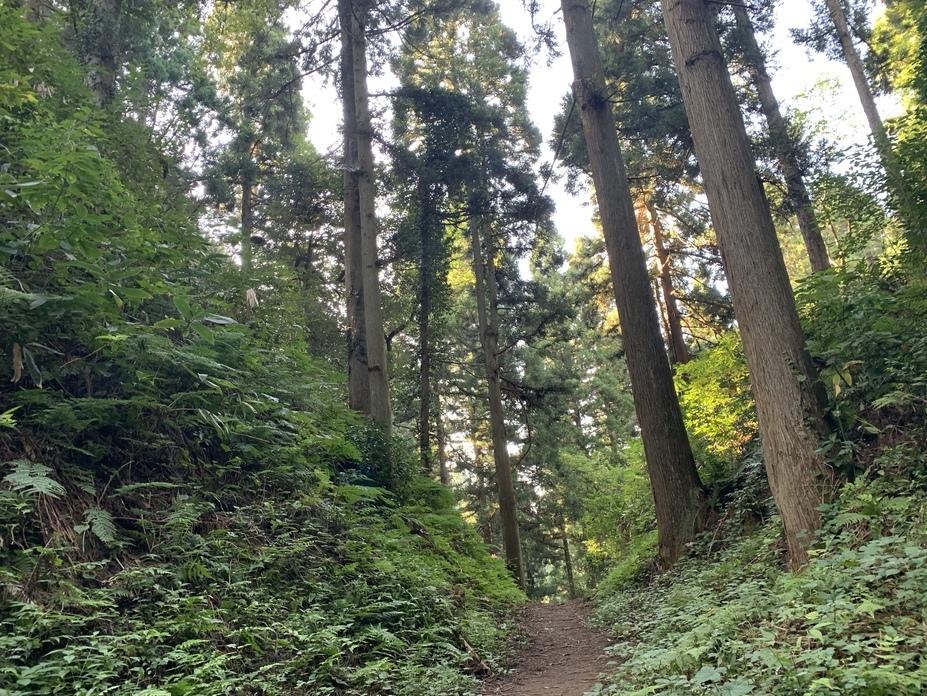 増山城