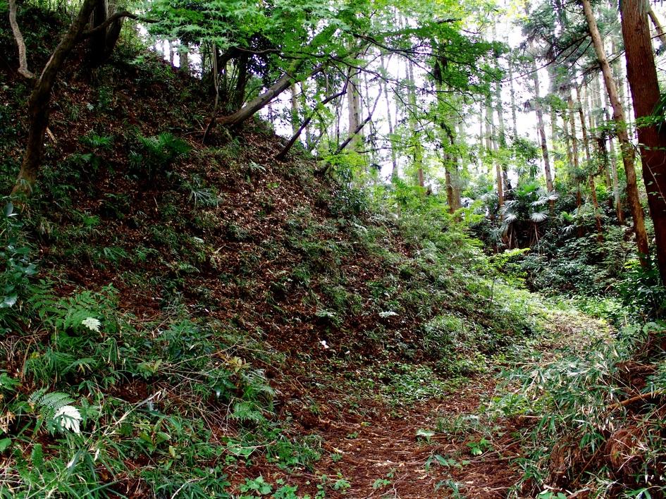 鹿沼城