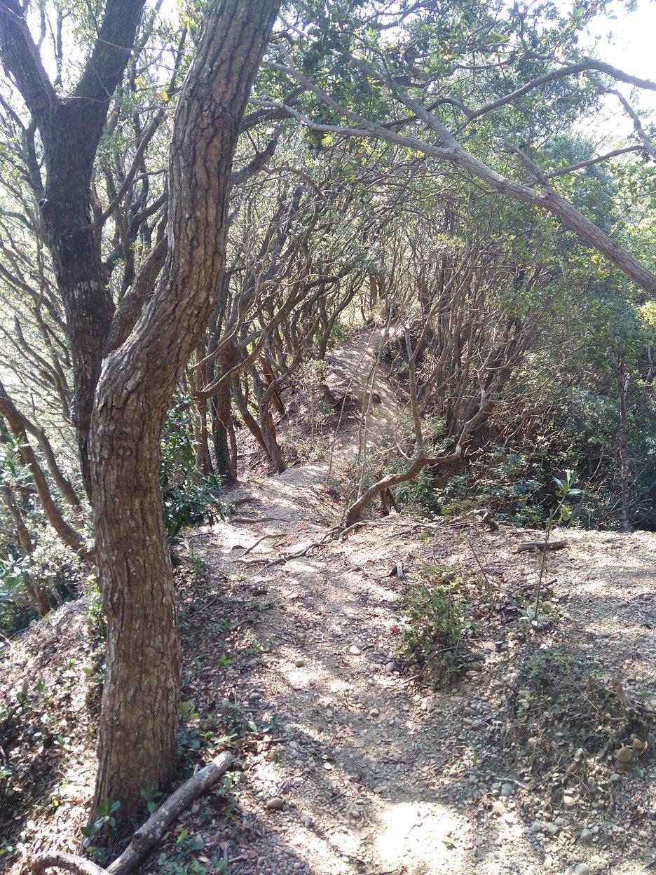 高天神城