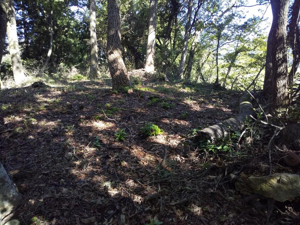小山城