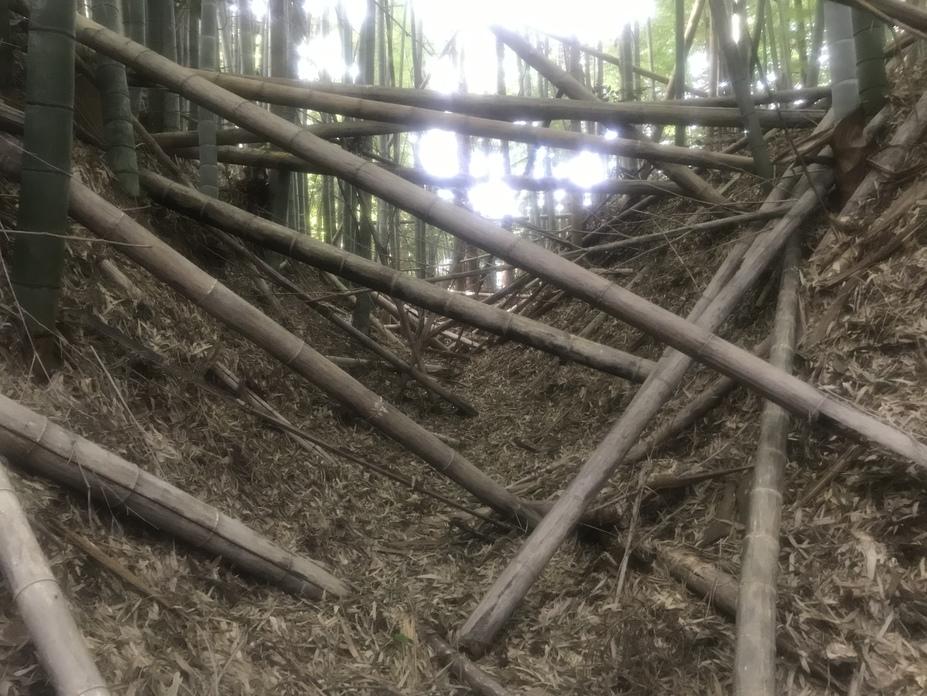 坂田城