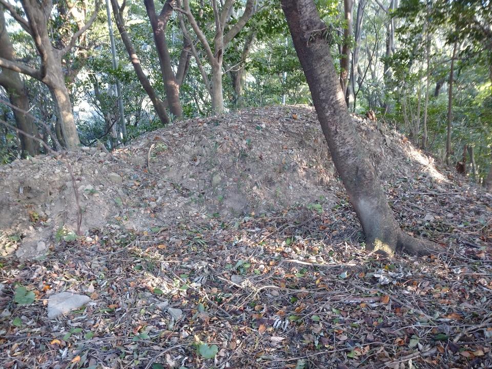高良山神籠石