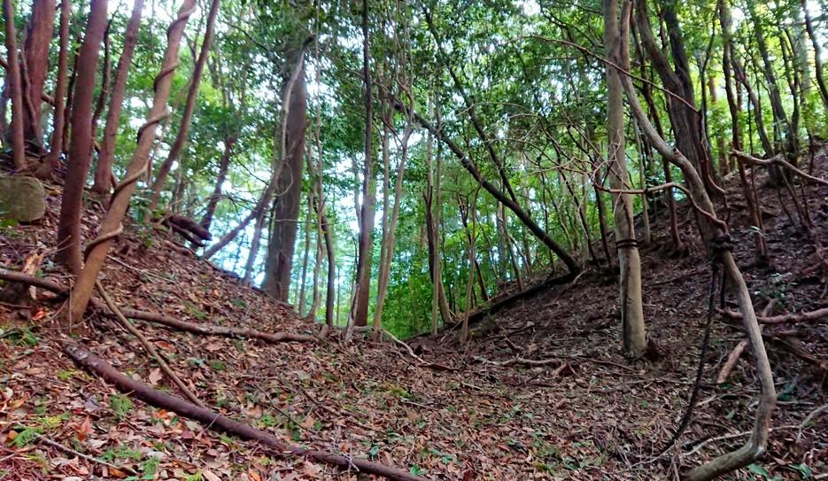 荒滝山城