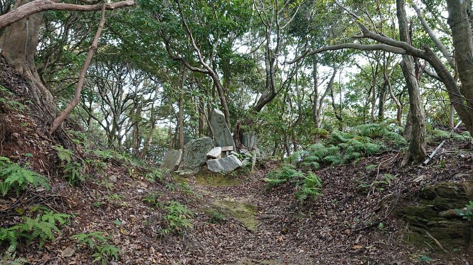 和佐山城